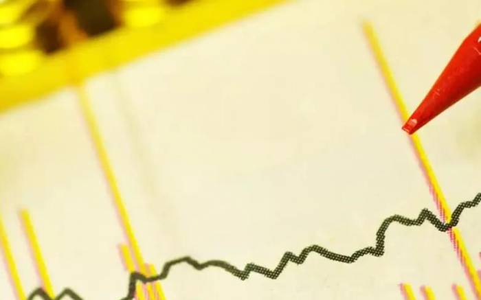 How should a wild trader's career path go?