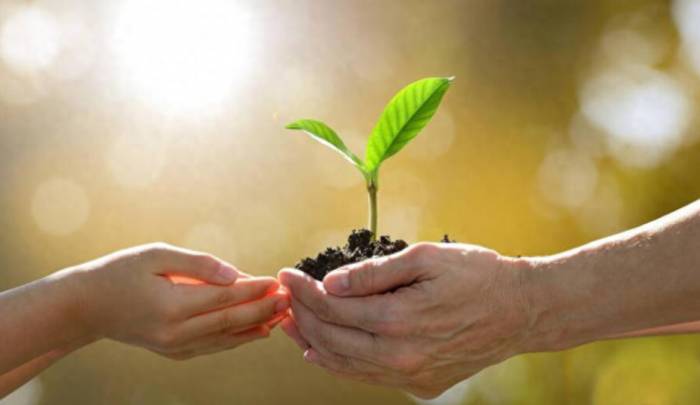 After so many years of trading, what is your biggest feeling?