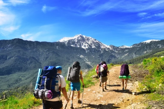 Group Hiking: A Complete Guide to Joining, Planning, and Enjoying Trails Together