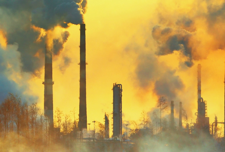 reduce environmental impact reduce environmental impact