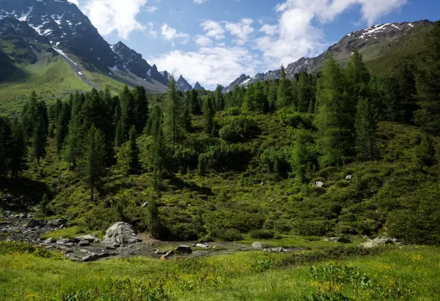 climate change mountains