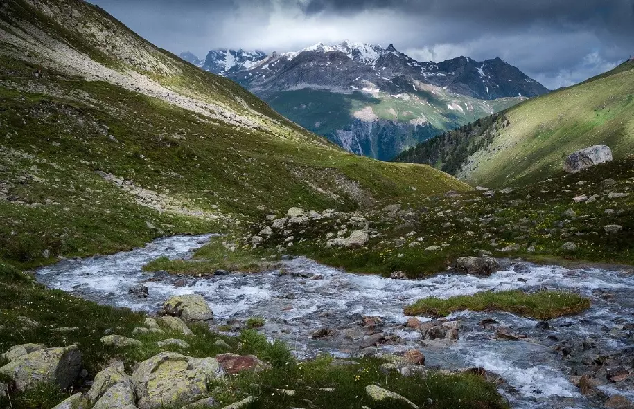 Mountain Ecosystems: A Complete Guide to Biodiversity, Threats, and Conservation