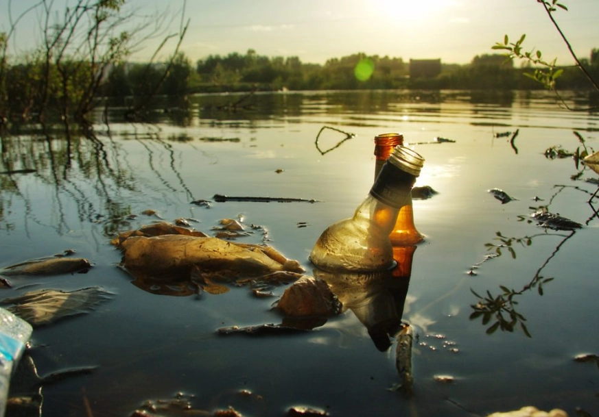 environmental impact assessment environmental impact assessment