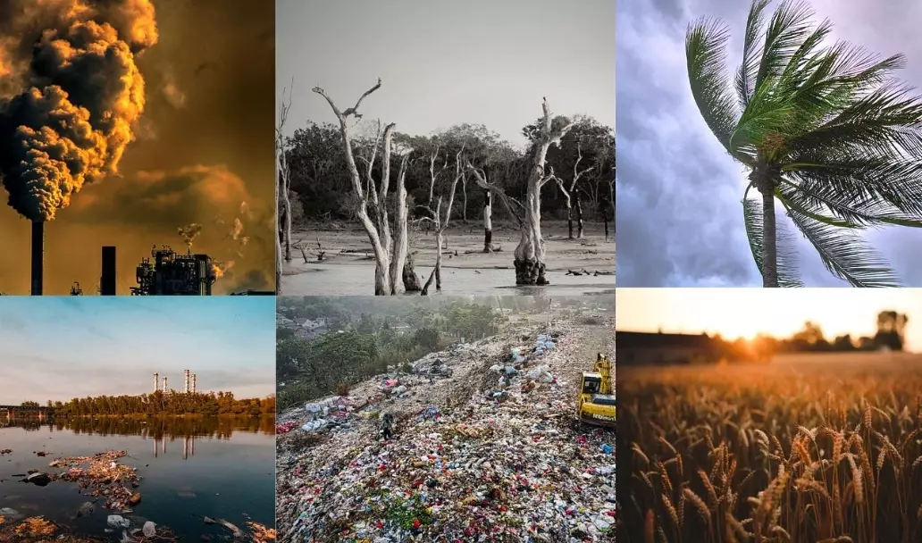 environmental impact assessment environmental impact assessment