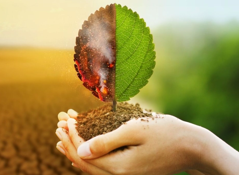 environmental impact