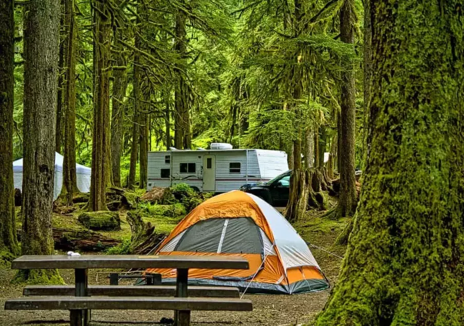 Your Complete Guide to National Parks Campgrounds: Booking, Tips & Secrets
