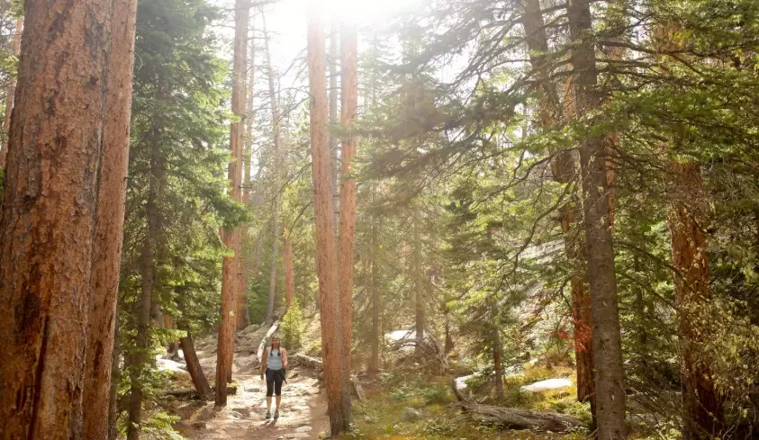 how to get national park timed entry how to get national park timed entry