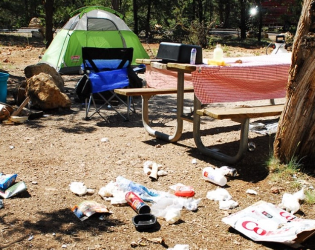 how to leave no trace hiking how to leave no trace hiking