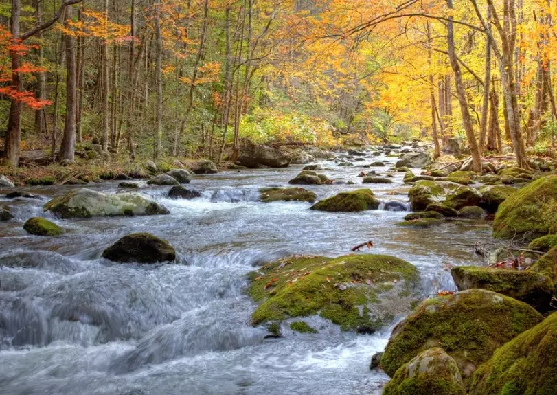 Great Smoky Mountains National Park weather