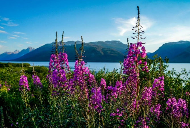 spring in national parks