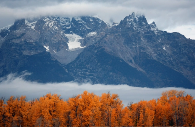 fall foliage park guide