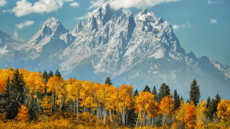 Best Fall Foliage National Parks: Peak Dates & Planning Guide