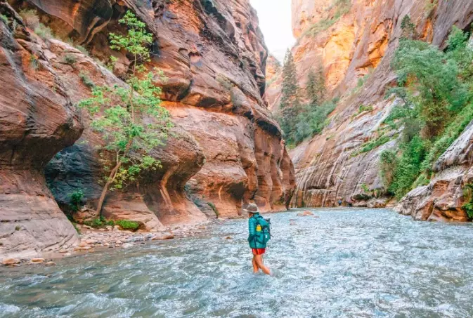 Zion Narrows permit
