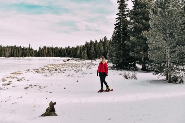 snowshoe trails near me