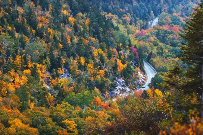 fall foliage park guide