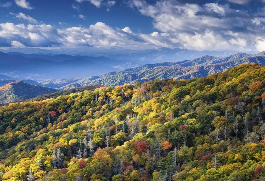 Your Complete Guide to Great Smoky Mountains National Park: Planning, Hiking & Wildlife