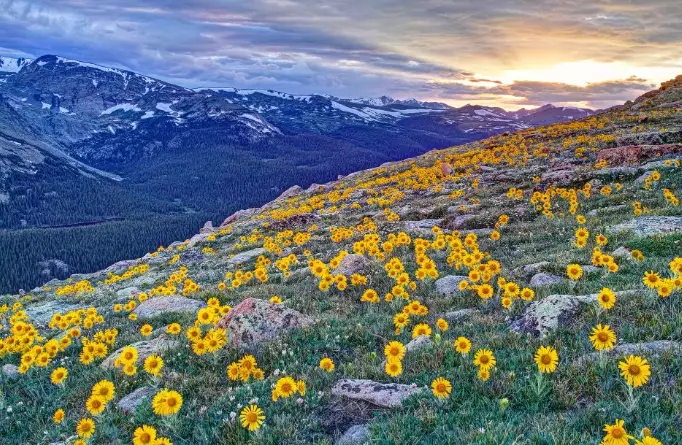 spring in national parks