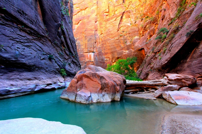 The Narrows Zion: Your Complete Hiking Guide & Essential Tips