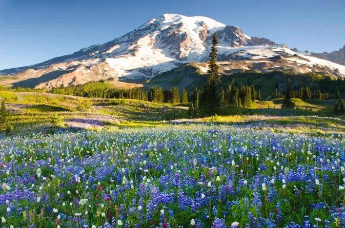 spring national park trips