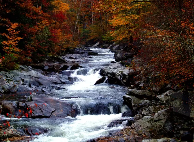 Great Smoky Mountains National Park itinerary