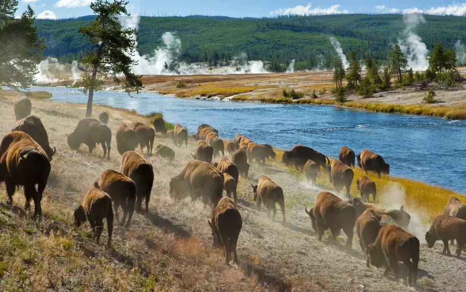 Yellowstone travel guide Yellowstone travel guide