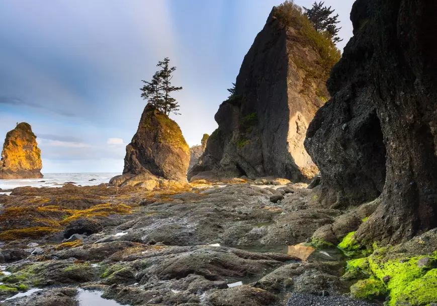 Olympic National Park weather