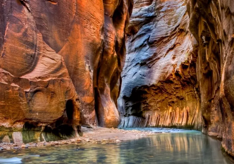 Zion National Park Ultimate Guide: Hikes, Permits & Expert Tips