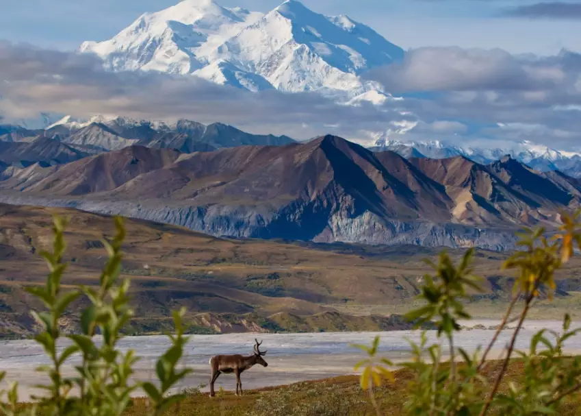 National Parks Tours: The Ultimate Guide to Planning Your Adventure