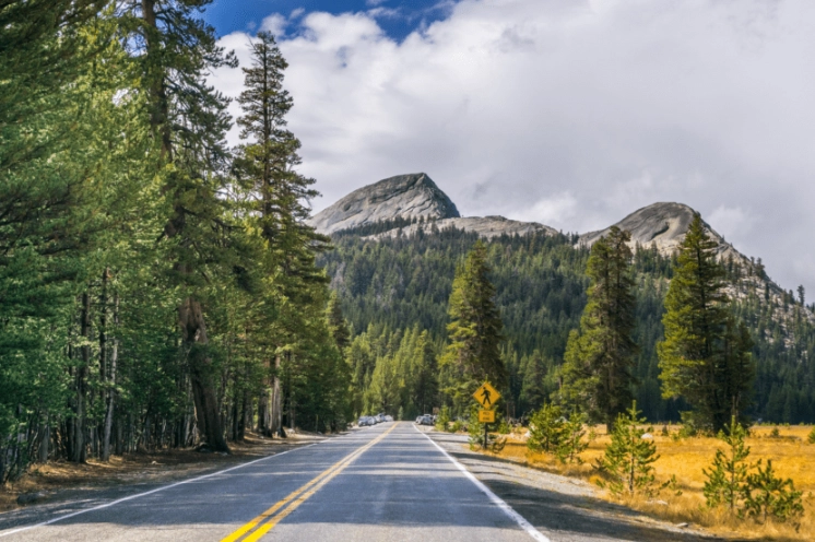 national park road trips national park road trips