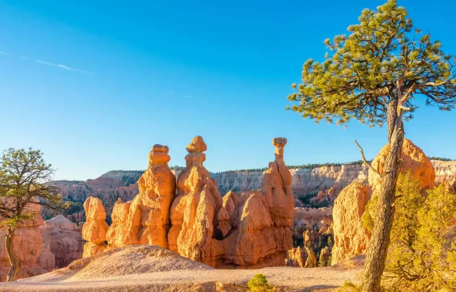 Hoodoos in US National Parks: Your Ultimate Guide to Nature's Stone Giants