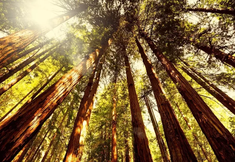 national park service free days 2024 national park service free days 2024