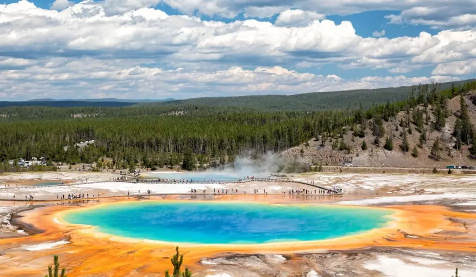 why is Grand Prismatic Spring colorful