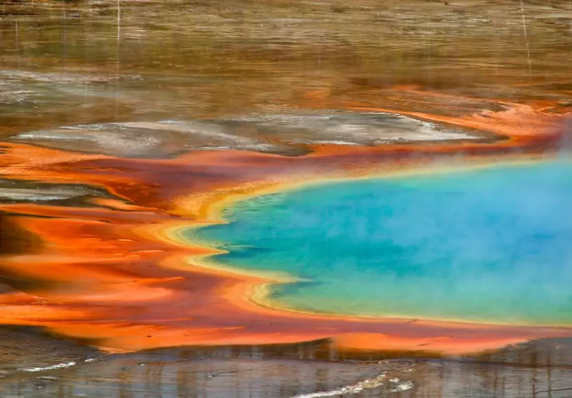 why is Grand Prismatic Spring colorful