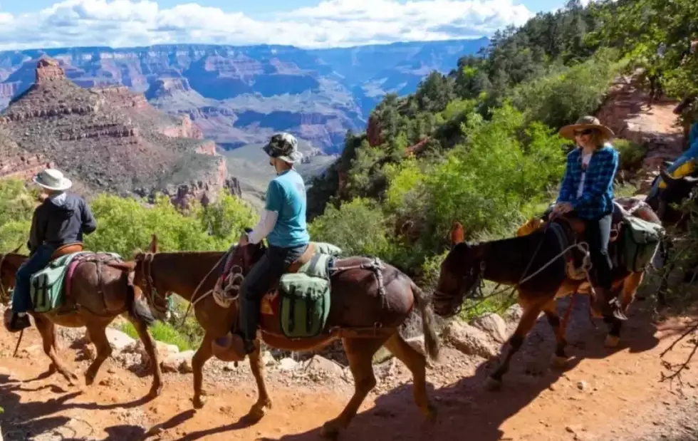 Grand Canyon South Rim