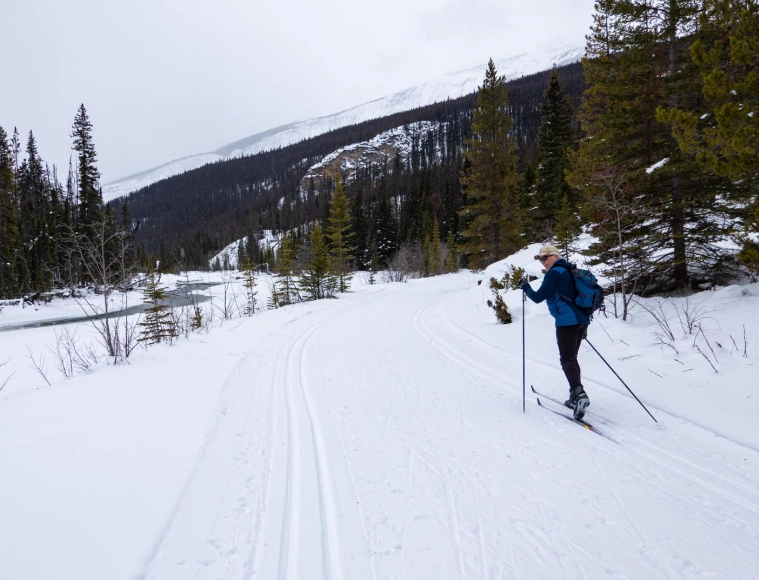national park ski trails national park ski trails