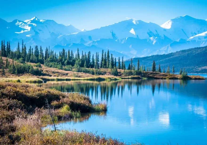 Denali National Park