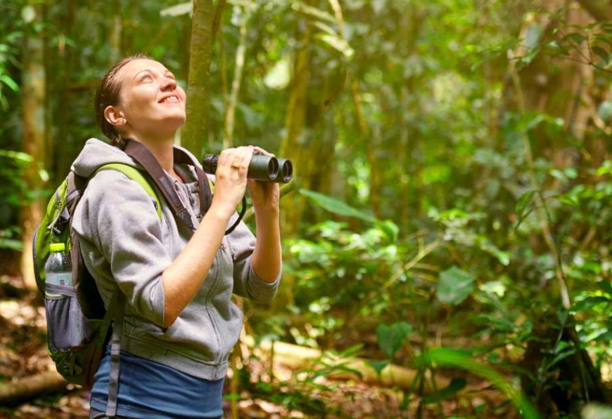 best national parks for birding best national parks for birding