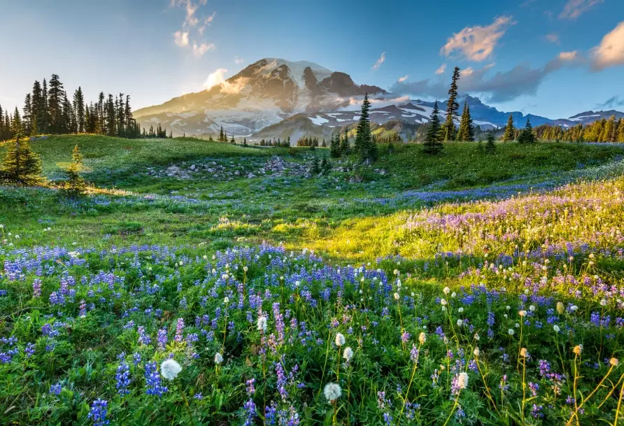 top national parks usa