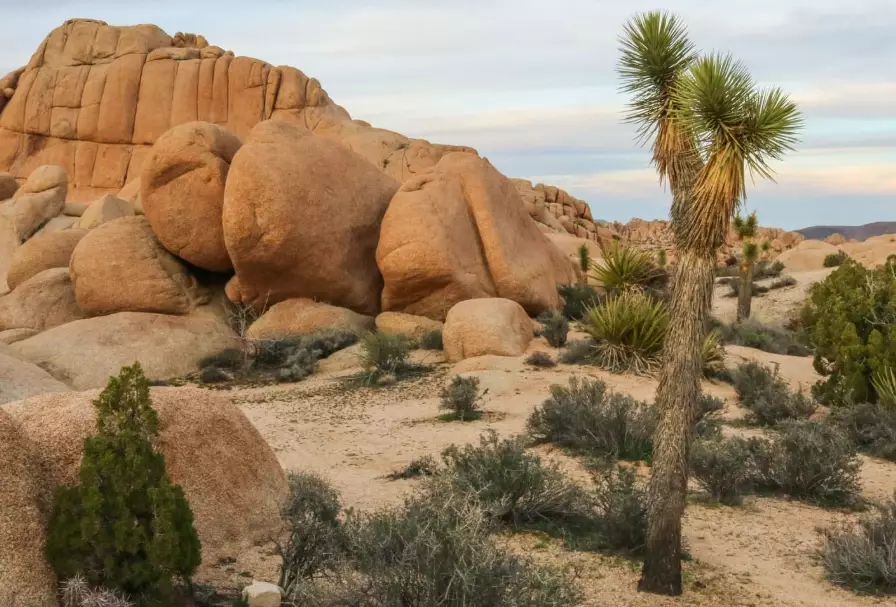 National Parks Deserts: A Guide to America's Arid Wonders
