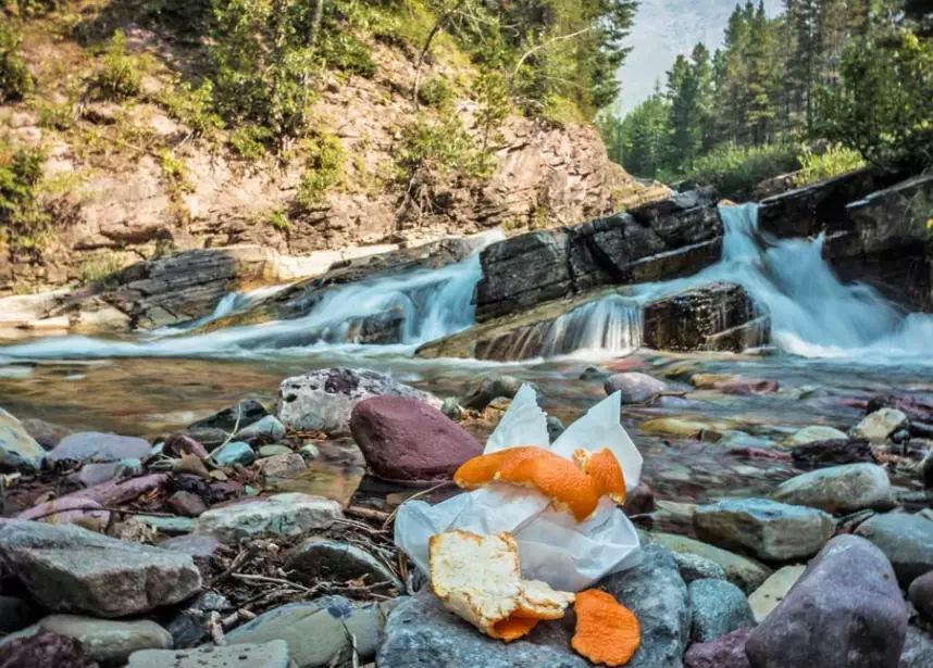 The Ultimate Guide to Leave No Trace in National Parks: 7 Principles Explained