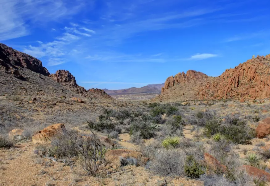 planning a desert park trip planning a desert park trip