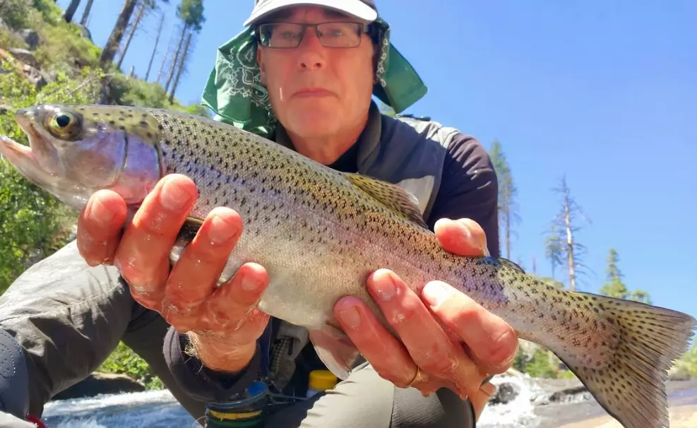 fishing regulations national parks fishing regulations national parks