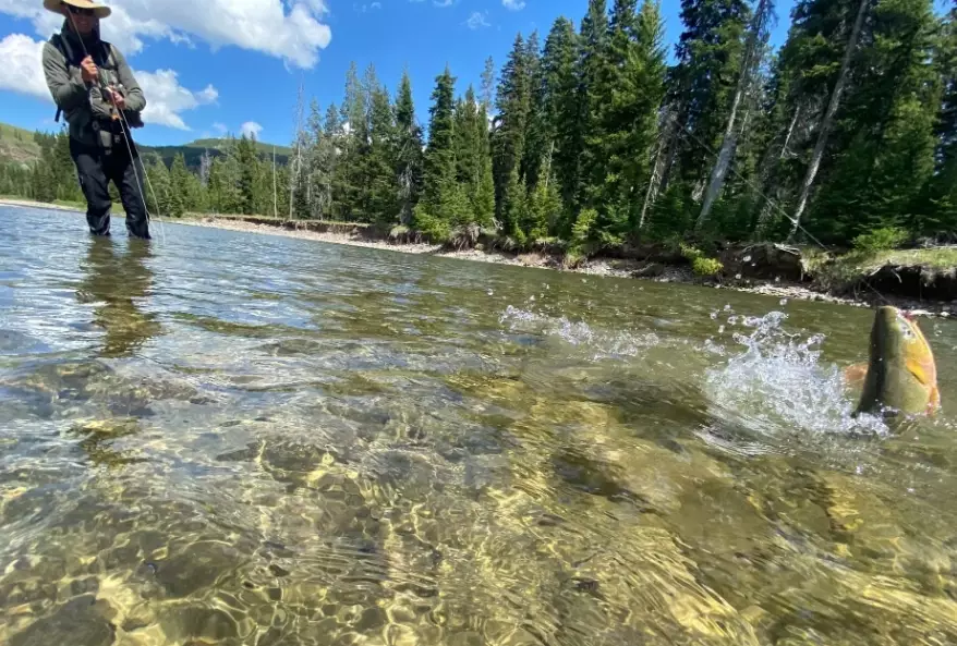 best national parks for fishing best national parks for fishing