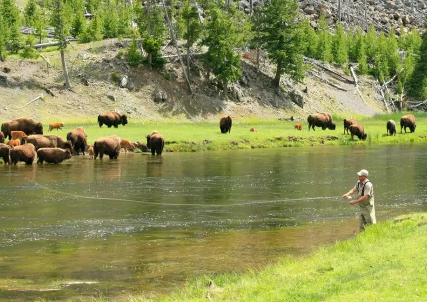 National Parks Fishing: The Ultimate Guide for Anglers