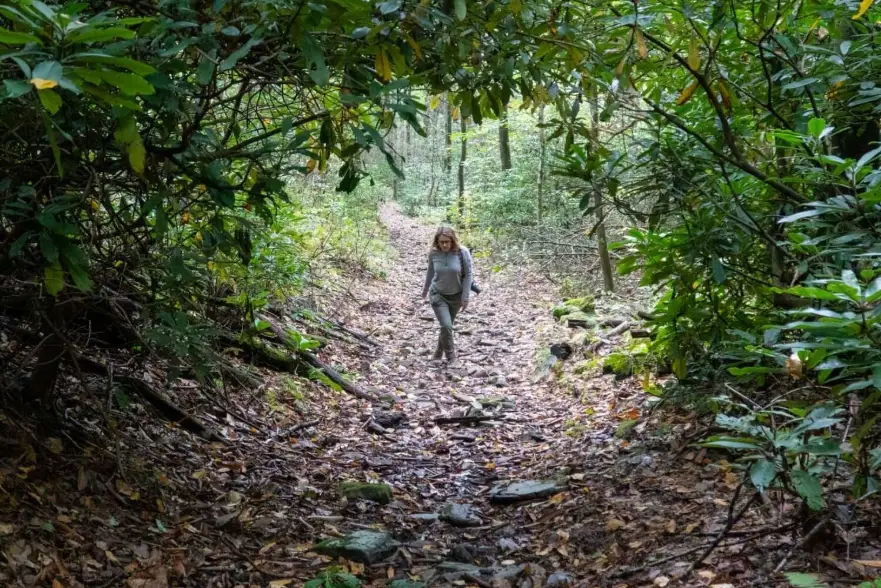 how to dispose of waste in wilderness