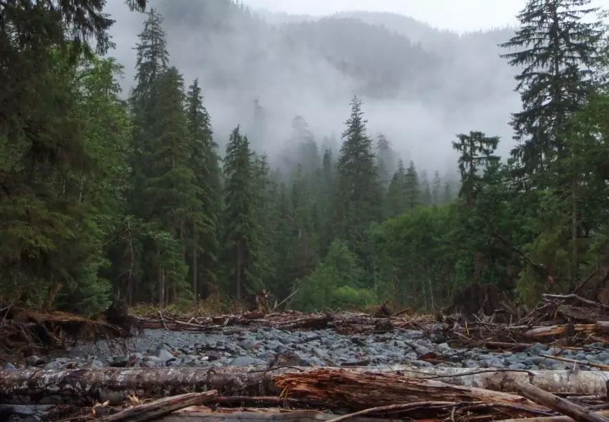 leave no trace principles