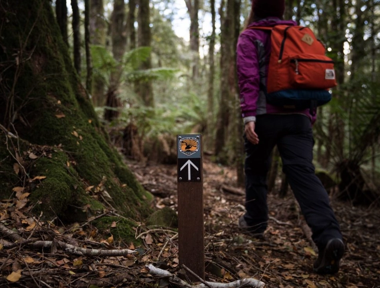 how to dispose of waste in wilderness