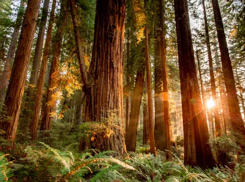 planning national park trip