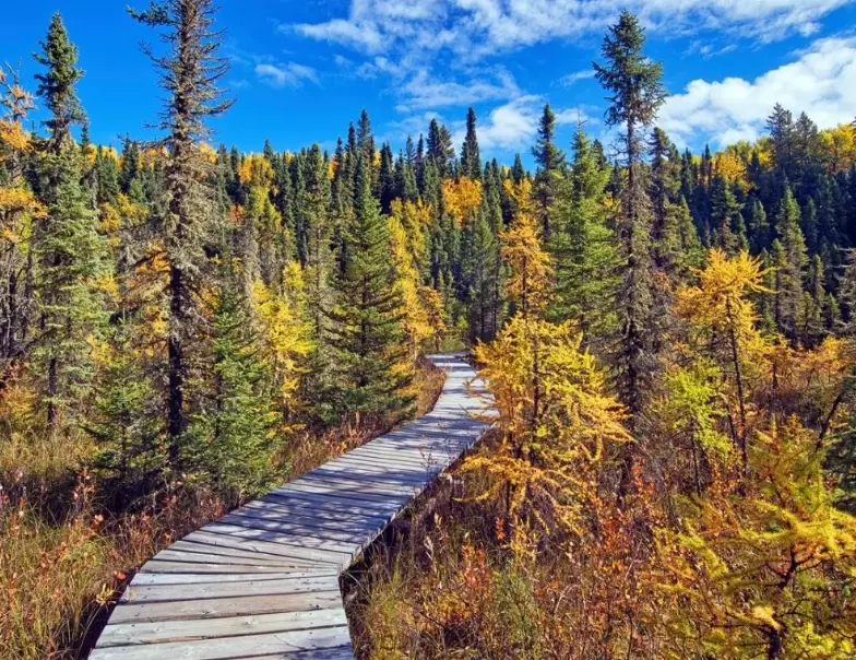 national park hiking trails