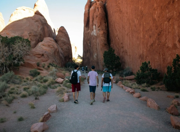 how to stay safe in national parks how to stay safe in national parks